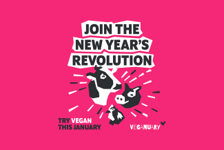 Imagem da notícia Veganuary: Dê um Novo Significado ao Seu Ano Novo